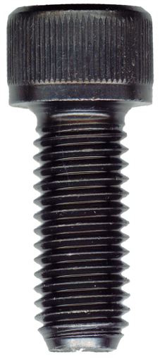 CHAMPION - 3/16 X 1/2 BSW CAP SCREW 316 